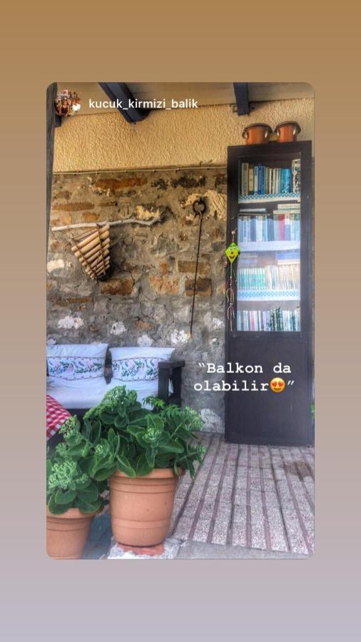 İmroz Dimitri Ada Evi & Restaurant酒店 外观 照片